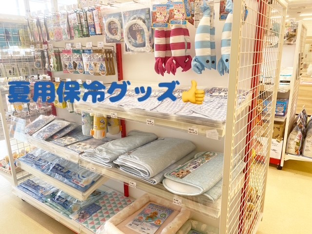 春が来た🌸ワンちゃんも来た🐶！！！ペットショップ犬の家＆猫の里藤枝