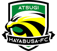 厚木はやぶさFC
