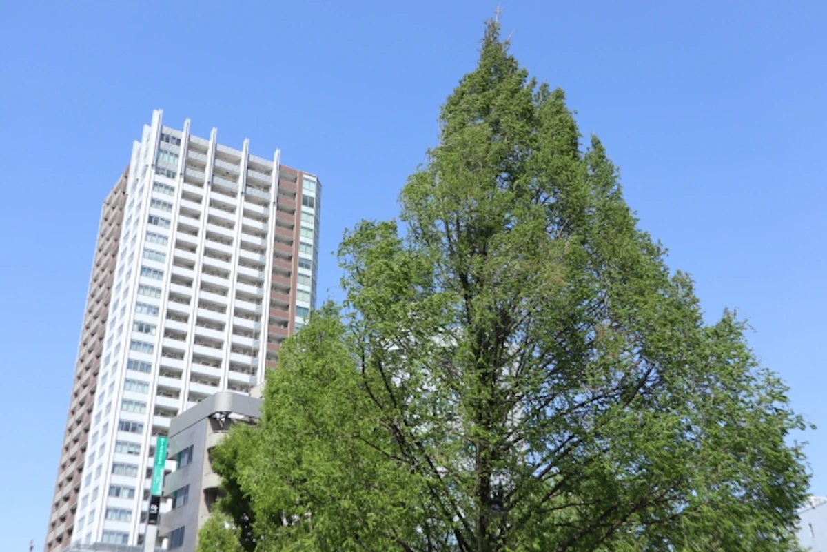 三鷹でマンションを高く売るには？売却査定の流れと地元不動産会社の選び方