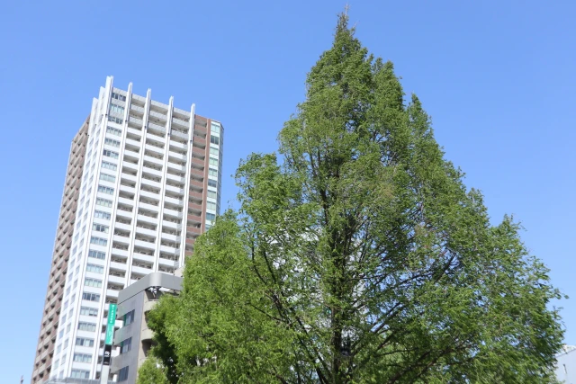 三鷹でマンションを高く売るには？売却査定の流れと地元不動産会社の選び方