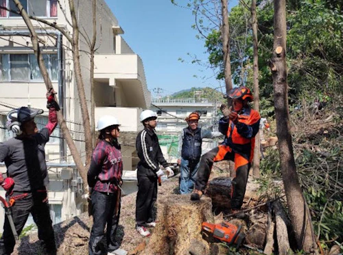 現場セミナー：大学緑地の樹木整備の活動写真