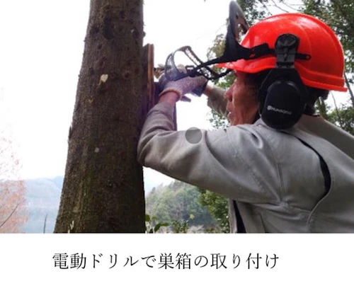 現場セミナー：田屋城跡の小鳥の森に巣箱の設置の活動写真