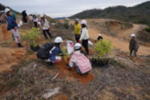 協力して伐採跡地に植栽する両国のユースたち