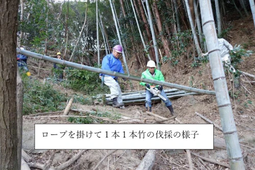 第 271 回現場セミナー： 史跡中小田古墳群の竹等伐採 第６回の活動写真