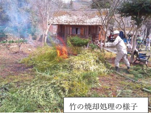番外編現場セミナー：「3000 本の桜を望む森で竹林整備＆お花見イベントの活動写真