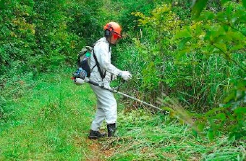 植樹祭の事前準備に参加しての活動写真