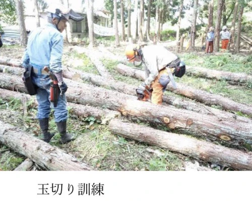 番外編現場セミナー：安全に木を伐る研修会（第2回）の活動写真