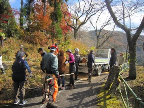 番外編現場セミナー「桜守プロジェクト 土師ダム湖畔のさくら並木の手入れ」の活動写真