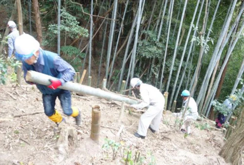 第271回現場セミナー：中小田古墳群の山林整備（竹林等伐採）第４回の活動写真
