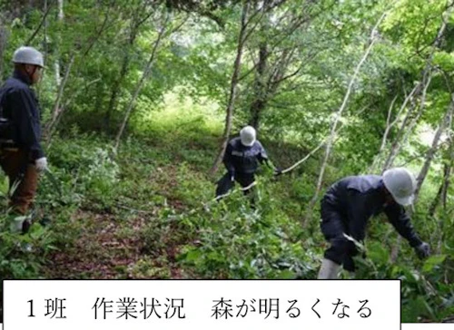 オイスカ広島の森づくり 第 26 回山・林・SUN 活動に参加しての活動写真