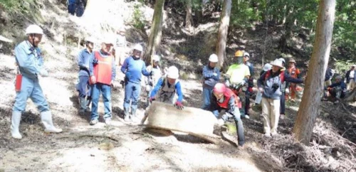 現場セミナー 郡山城跡の手入れ報告の活動写真