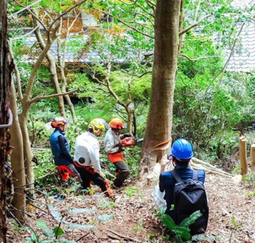 「緑の募金事業」第 3 回里山林整備活動の報告の活動写真