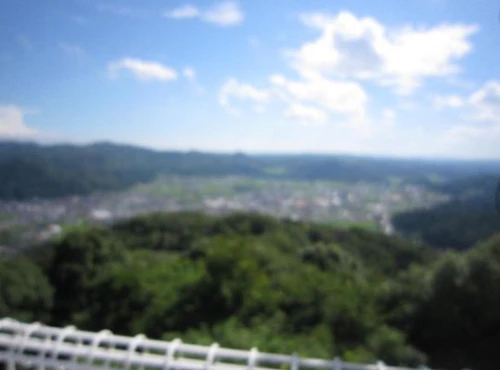 座学セミナー「世羅の里山と木を考える集い」参加報告の活動写真