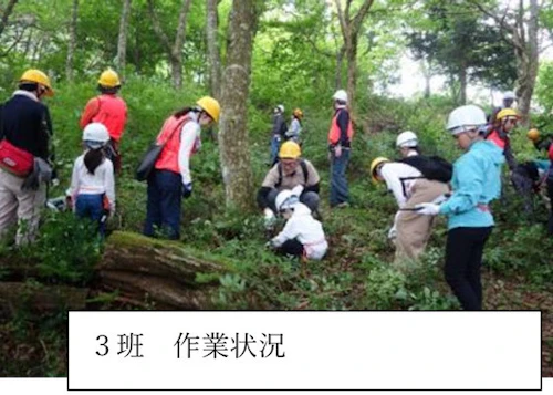 オイスカ広島の森づくり 第 26 回山・林・SUN 活動に参加しての活動写真