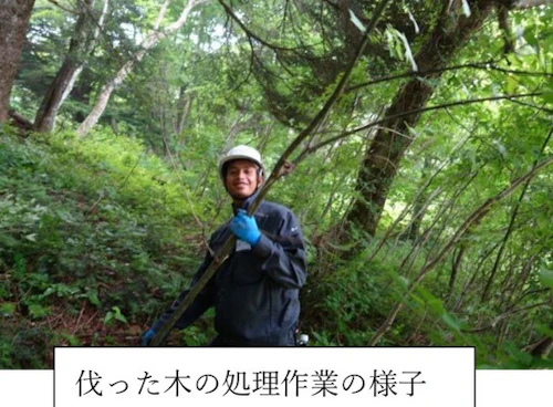 オイスカ広島の森づくり 第 26 回山・林・SUN 活動に参加しての活動写真