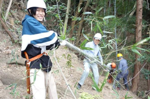 第271回現場セミナー：中小田古墳群の山林整備（竹林等伐採）第４回の活動写真