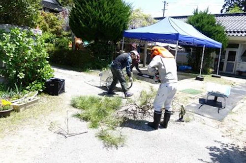 枝などの処理の状況