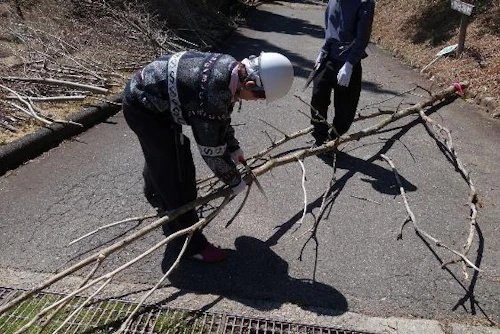 ノコギリでの切る感触を掴みました