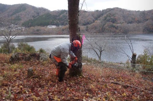 番外編現場セミナー：第39回土師ダム桜守プロジェクト 活動報告の活動写真