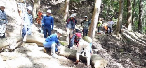 現場セミナー 郡山城跡の手入れ報告の活動写真