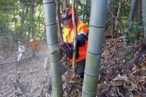 中小田古墳群を守り活かす山林整備事業活動（PART　Ⅴ）の活動写真