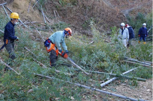 中小田古墳群を守り活かす山林整備事業活動（PART　Ⅴ）の活動写真