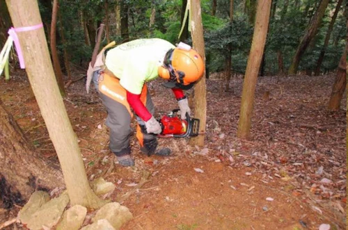 現場セミナー「郡山城跡の枯れ木伐採と登山道清掃活動」の活動写真