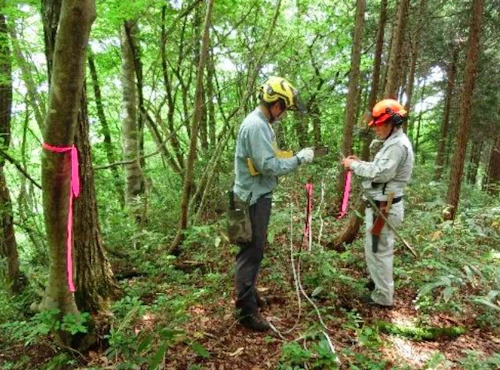 番外編現場セミナー：里山林整備事業の報告の活動写真