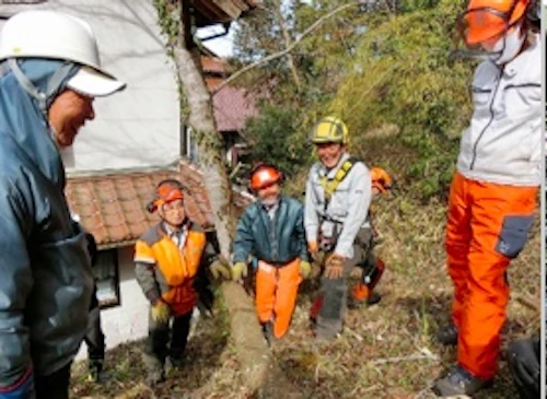 第259回現場セミナー　裏山林整備報告の活動写真