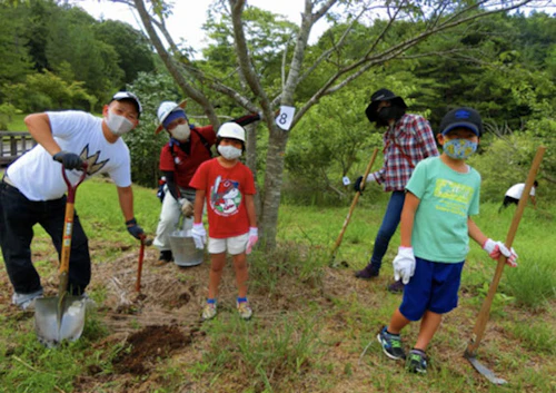 第262回現場セミナー： 緑の活力復元プロジェクト実証事業の活動写真