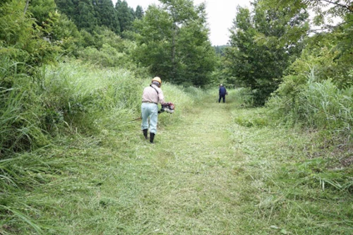 番外編現場セミナー　小室井山登山道の整備（草刈り）の活動写真