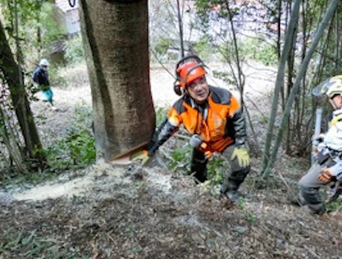 第259回現場セミナー　裏山林整備報告の活動写真