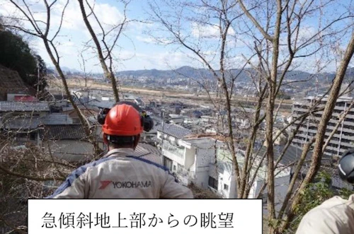 第 271 回現場セミナー： 史跡中小田古墳群の竹等伐採 第６回の活動写真