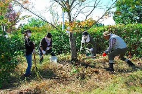 第255回現場セミナー：緑の活力復元プロジェクト実証事業の活動写真