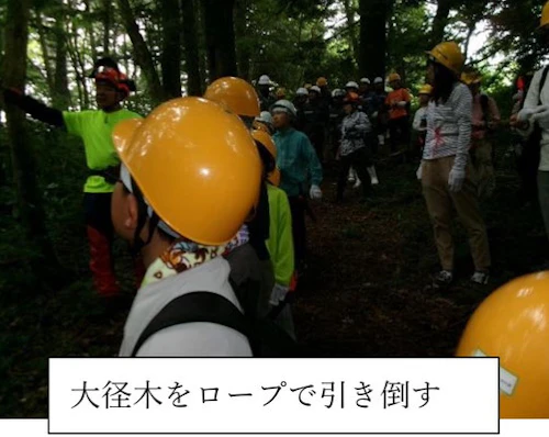 オイスカ広島の森づくり 第 26 回山・林・SUN 活動に参加しての活動写真