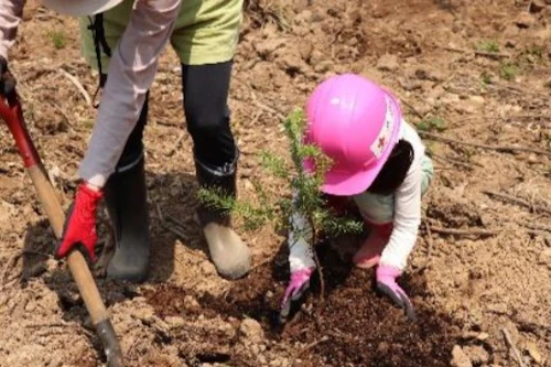 家族みんなで「にっせきの森」に新しい命を！ 〜ひろしま「山の日」植樹祭レポート〜の活動写真