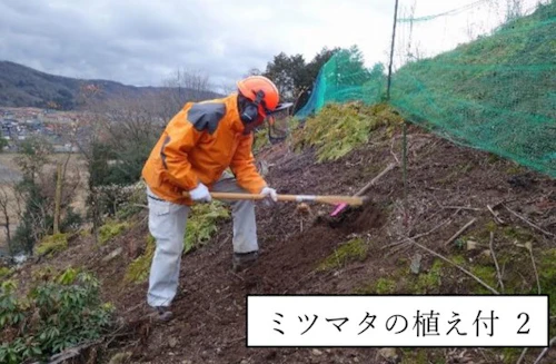 現場セミナー：ミツマタ植樹と座学（森林教育）の活動写真