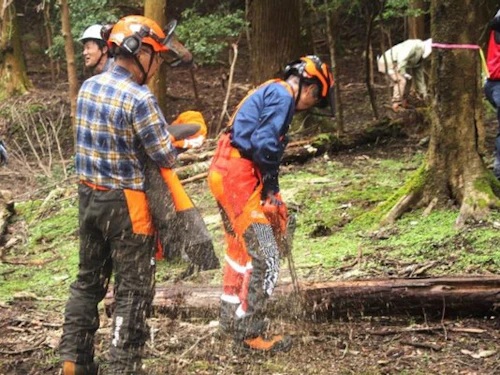 現場セミナー「郡山城跡の枯れ木伐採と登山道清掃活動」の活動写真