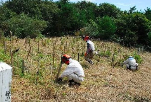 植樹祭の事前準備に参加しての活動写真