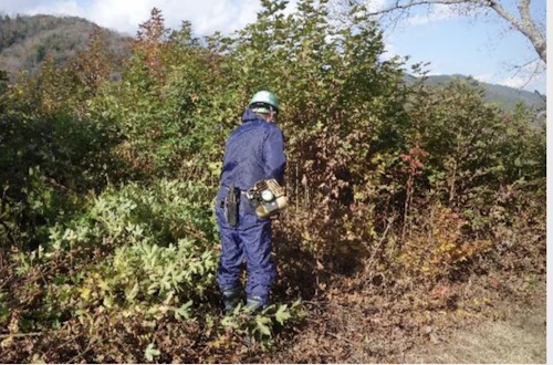 番外編現場セミナー：第39回土師ダム桜守プロジェクト 活動報告の活動写真