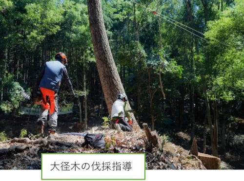歴史をつなぐ「お玉ヶ池」再生プロジェクト完了報告書の活動写真