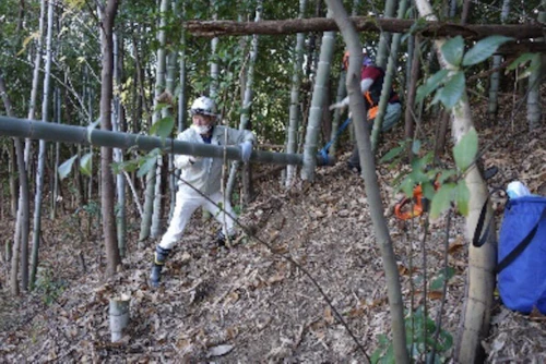 中小田古墳群を守り活かす山林整備事業(PARTⅣ)の活動写真