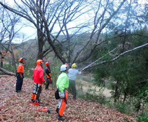 番外編現場セミナー　土師ダム周辺桜守事前準備の活動写真