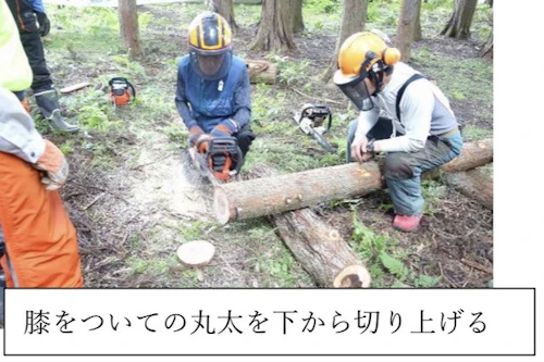 番外編現場セミナー：安全に木を伐る研修会（第1回）の活動写真