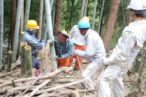 第271回現場セミナー：中小田古墳群の山林整備（竹林等伐採）第４回の活動写真