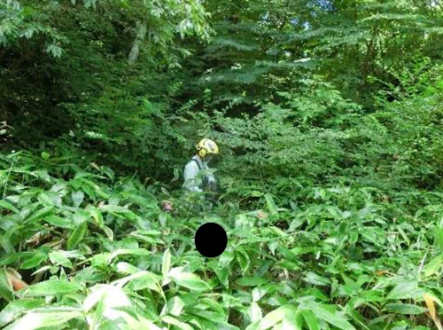 番外編現場セミナー：里山林整備事業の報告の活動写真