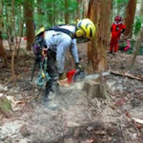 現場セミナー　郡山城址の手入れの活動写真