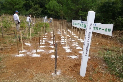「山の日」祝日５周年記念植樹祭報告の活動写真