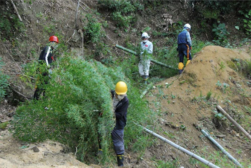 中小田古墳群を守り活かす山林整備事業(PARTIII)の活動写真