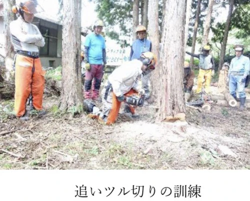 番外編現場セミナー：安全に木を伐る研修会（第2回）の活動写真